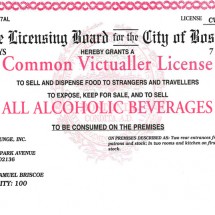 License copy